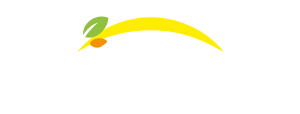 Bonduelle - Paluu aloitussivulle